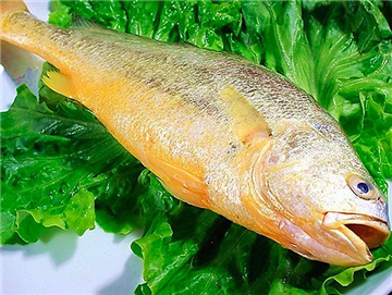 冰鮮黃花魚(yú)